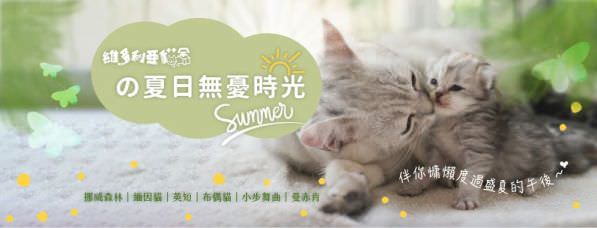 Facebook 社群臉書封面照片範例