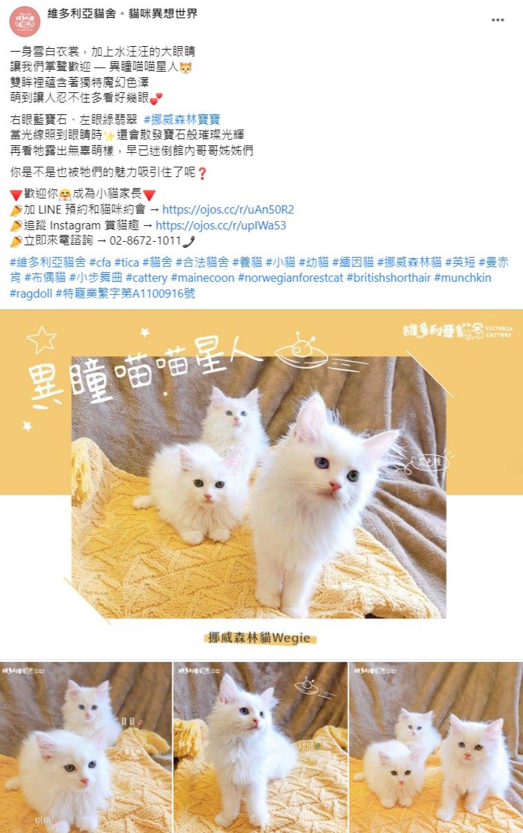 Facebook 社群貼文範例