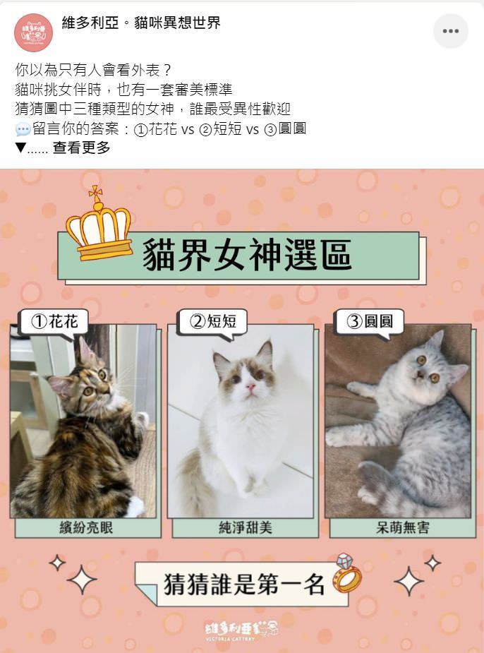 Facebook 社群貼文範例