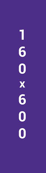 Google多媒体广告联播网广告电脑版常用广告尺寸160x600