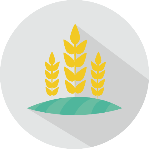 農產銷售社群行銷