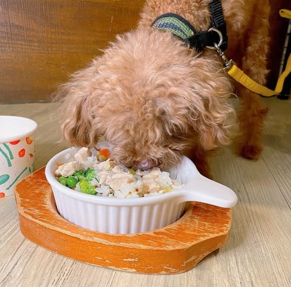 森林小徑文心店對寵物超友善